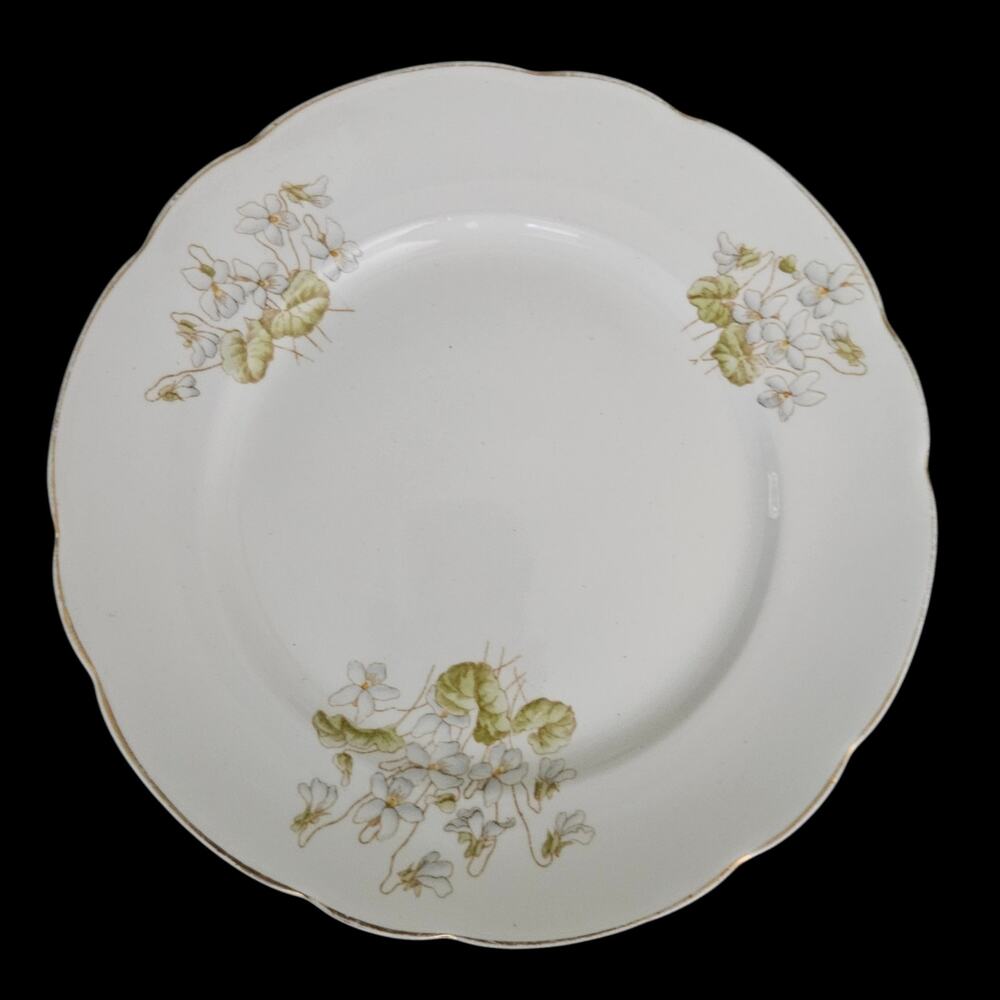 John Maddock & Sons Royal Vitreous England Floral Dinner Plates Set of 2